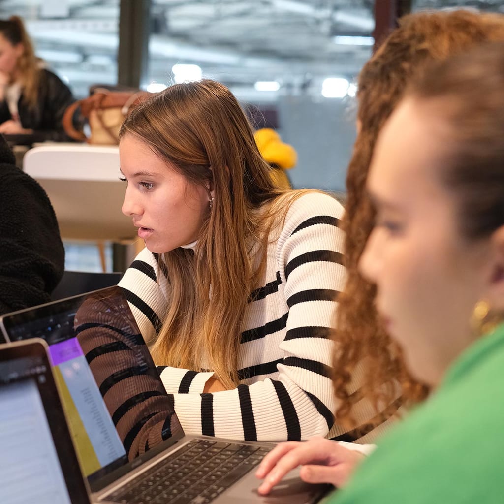 Students focused on laptop work in a shared learning space